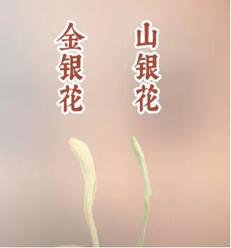 upfile